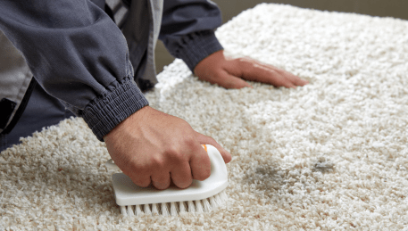 Professional Rug Cleaning Smythes Creek